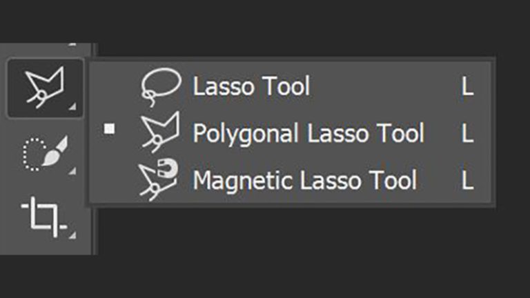 Polygonal Lasso Tool