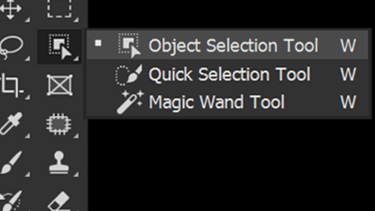 Quick Selection Tool
